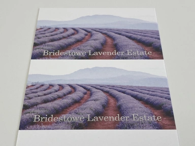 18-Flying Colours Group Bridestowe Lavender Estate - Business Cards