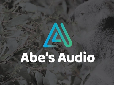 21-Abes Audio Bangalow Koalas