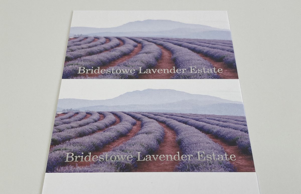 18-Flying Colours Group Bridestowe Lavender Estate - Business Cards
