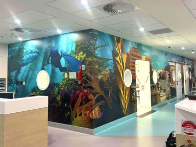 RHH Hyperbaric-Diemens-01.png