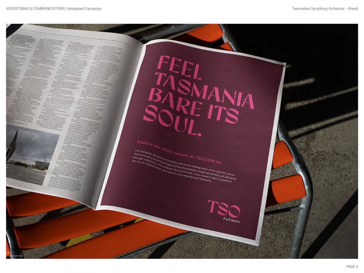 2012 Diemen Awards Entry_TSO Brand_IntegratedCampaign2.jpg