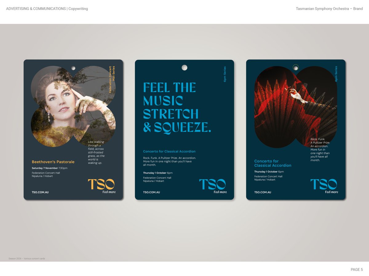 2012 Diemen Awards Entry_TSO Brand_Copywriting5.jpg