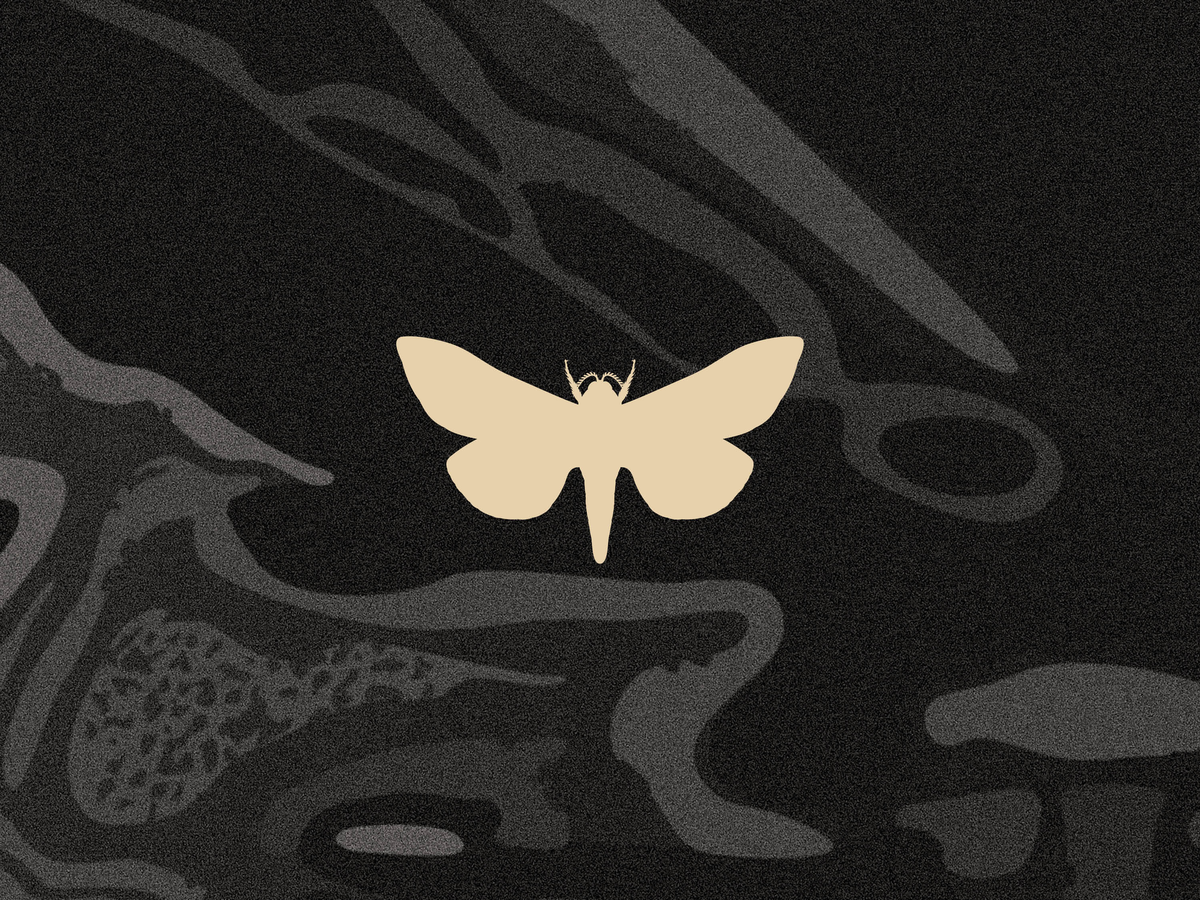 Diemen Awards - 2026 Submission - Moth Whisky10.png