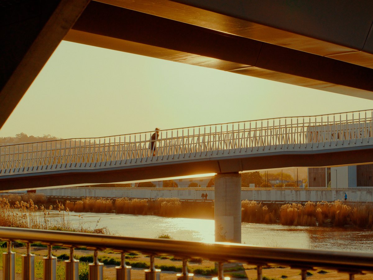 Sequence 01.00_00_40_00.Still002.jpg