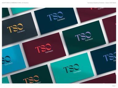 2012 Diemen Awards Entry_TSO Brand_ArtDirection.jpg