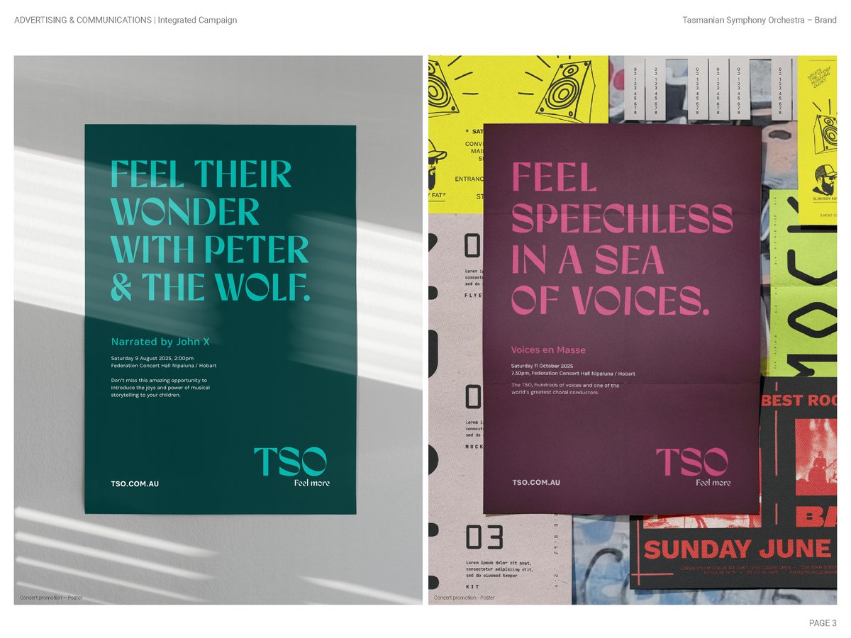 2012 Diemen Awards Entry_TSO Brand_IntegratedCampaign3.jpg