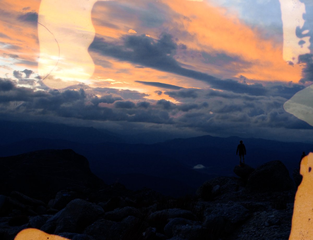 MATCHA MANJIS full.00_07_32_04.Still018.jpg