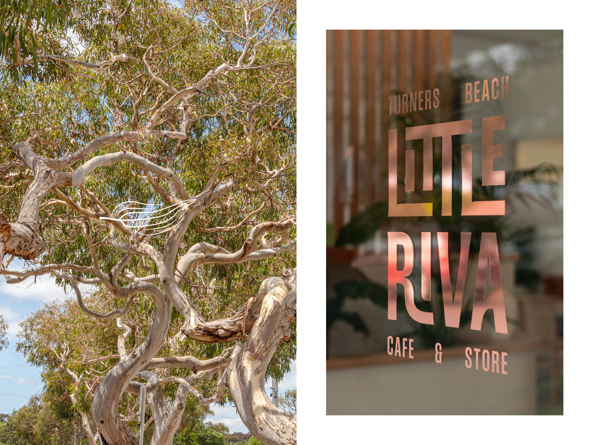 Diemen Awards - 2026 Submission - Little Riva11.png