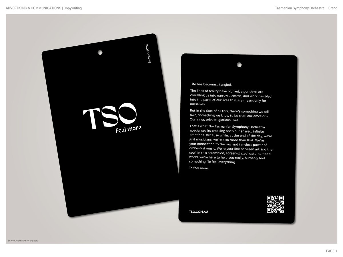 2012 Diemen Awards Entry_TSO Brand_Copywriting.jpg
