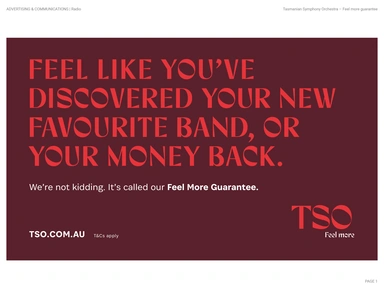 2012 Diemen Awards Entry_TSO Feel more guarantee_Radio.jpg