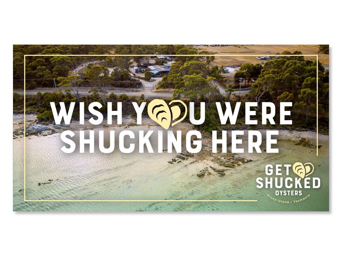 GetShucked airport-Diemens-05 copy.png