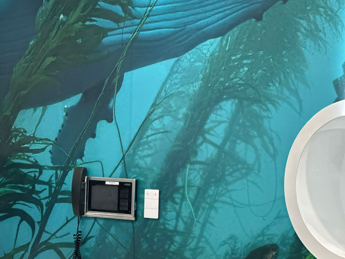 RHH Hyperbaric-Diemens-05.png