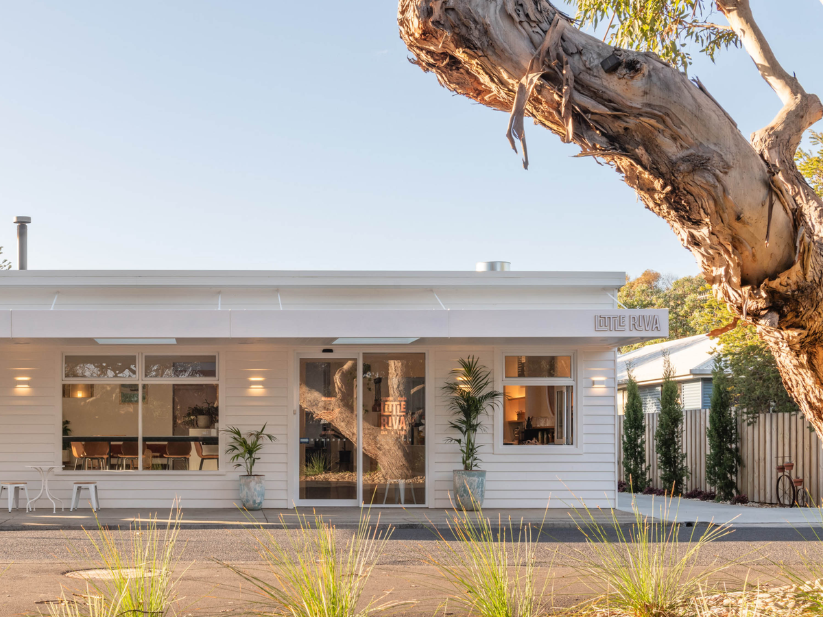 Diemen Awards - 2026 Submission - Little Riva3.png