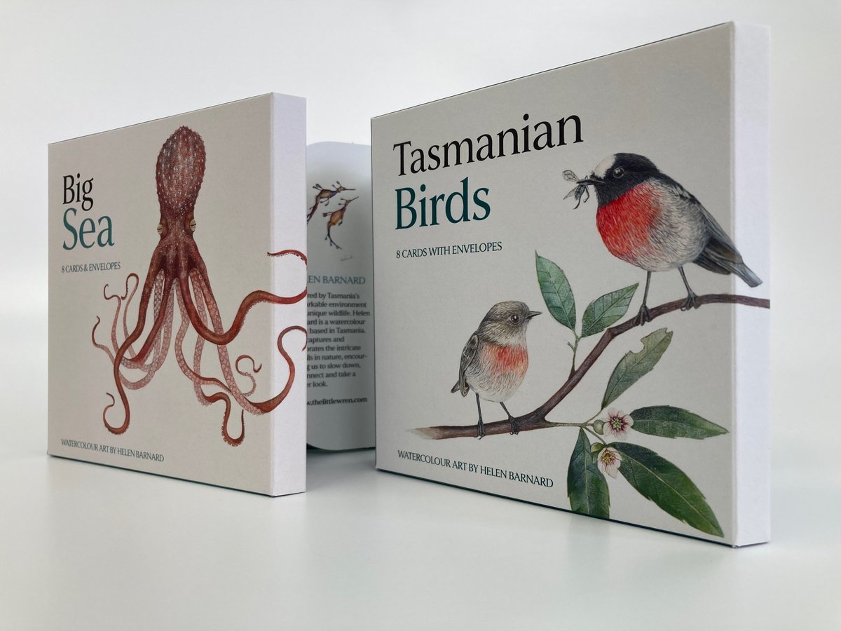 The Little Wren 1.pdf.jpg