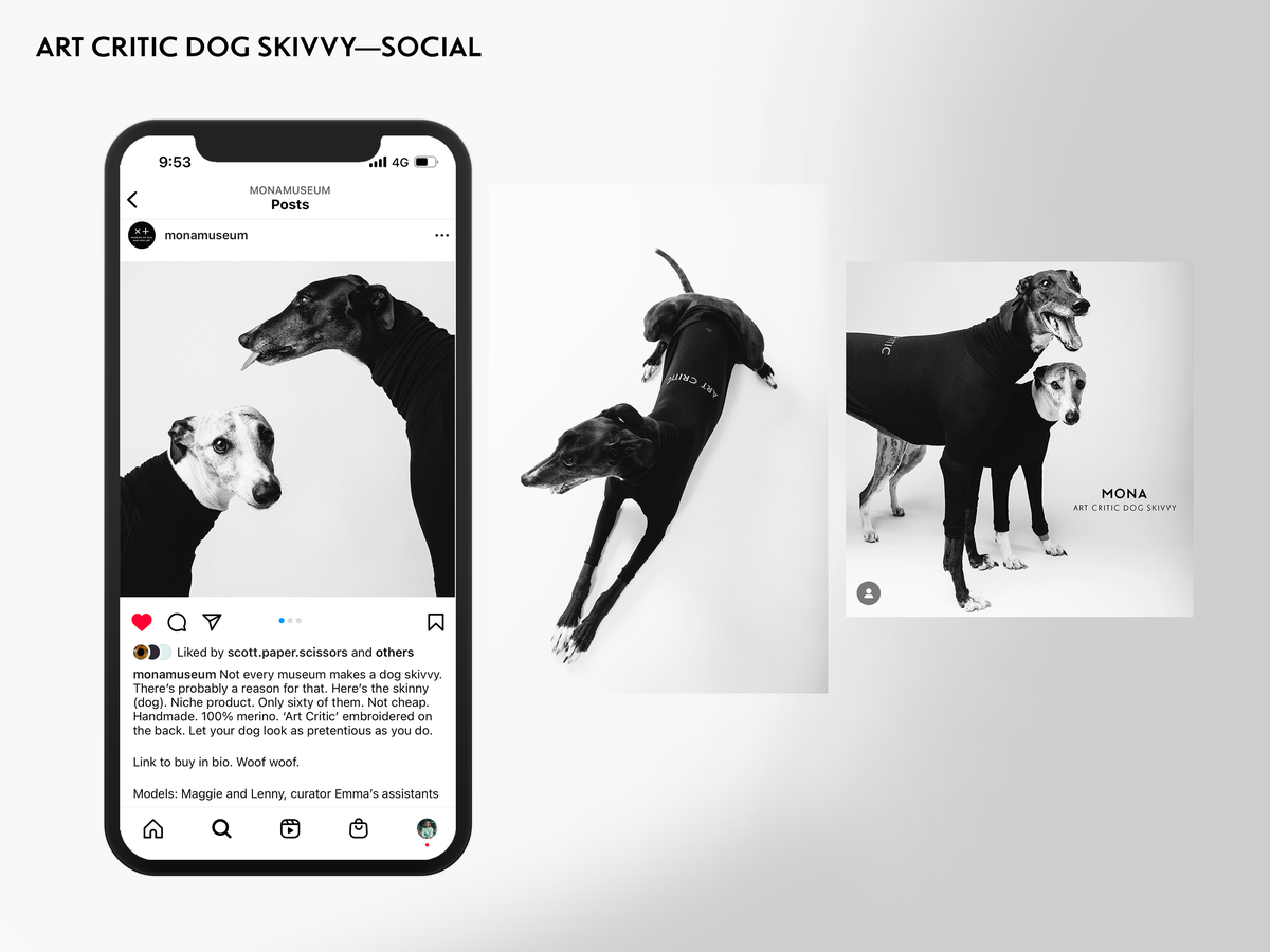 19. Social_Art Critic Dog Skivvies_Board.png