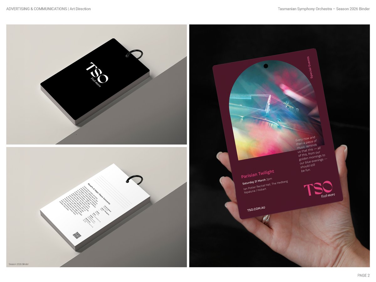 2012 Diemen Awards Entry_TSO Brand_ArtDirection2.jpg