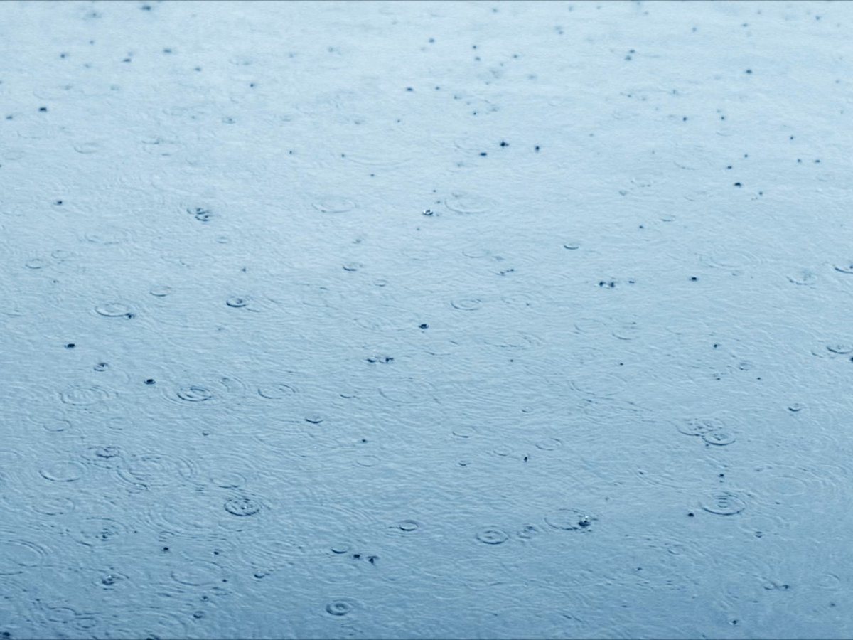 Sequence 01.00_02_17_20.Still022.jpg