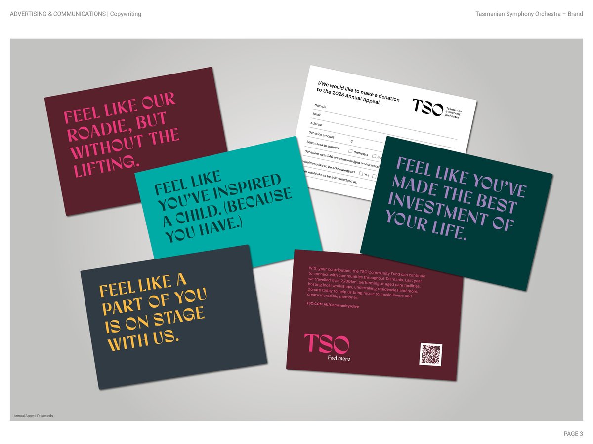 2012 Diemen Awards Entry_TSO Brand_Copywriting3.jpg