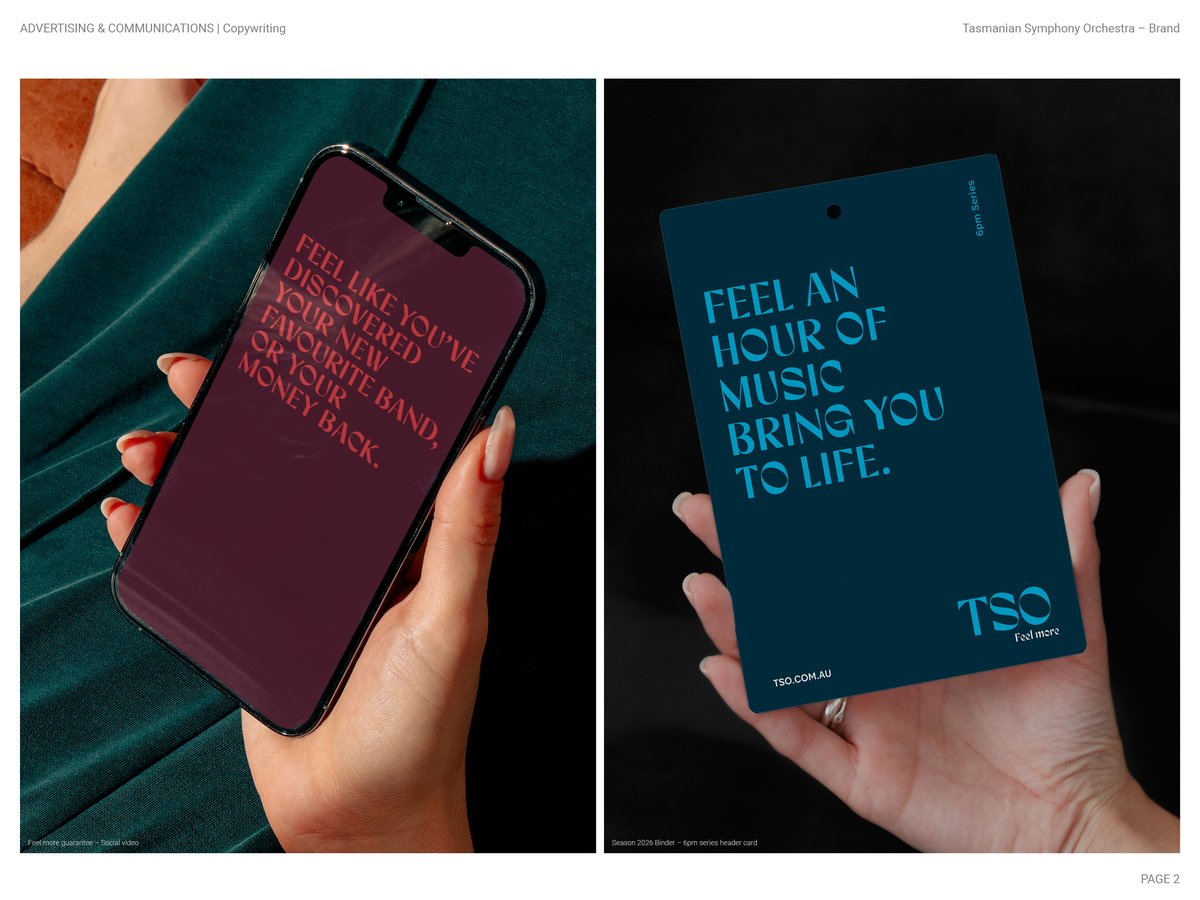 2012 Diemen Awards Entry_TSO Brand_Copywriting2.jpg