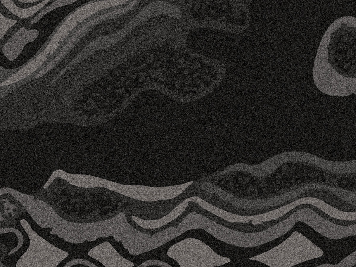 Diemen Awards - 2026 Submission - Moth Whisky15.png