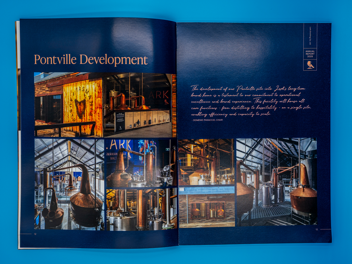 Lark Annual Report3.png