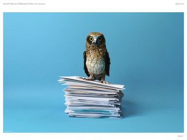 2012 Diemen Awards Entry_Bank First_Art Direction_1.jpg