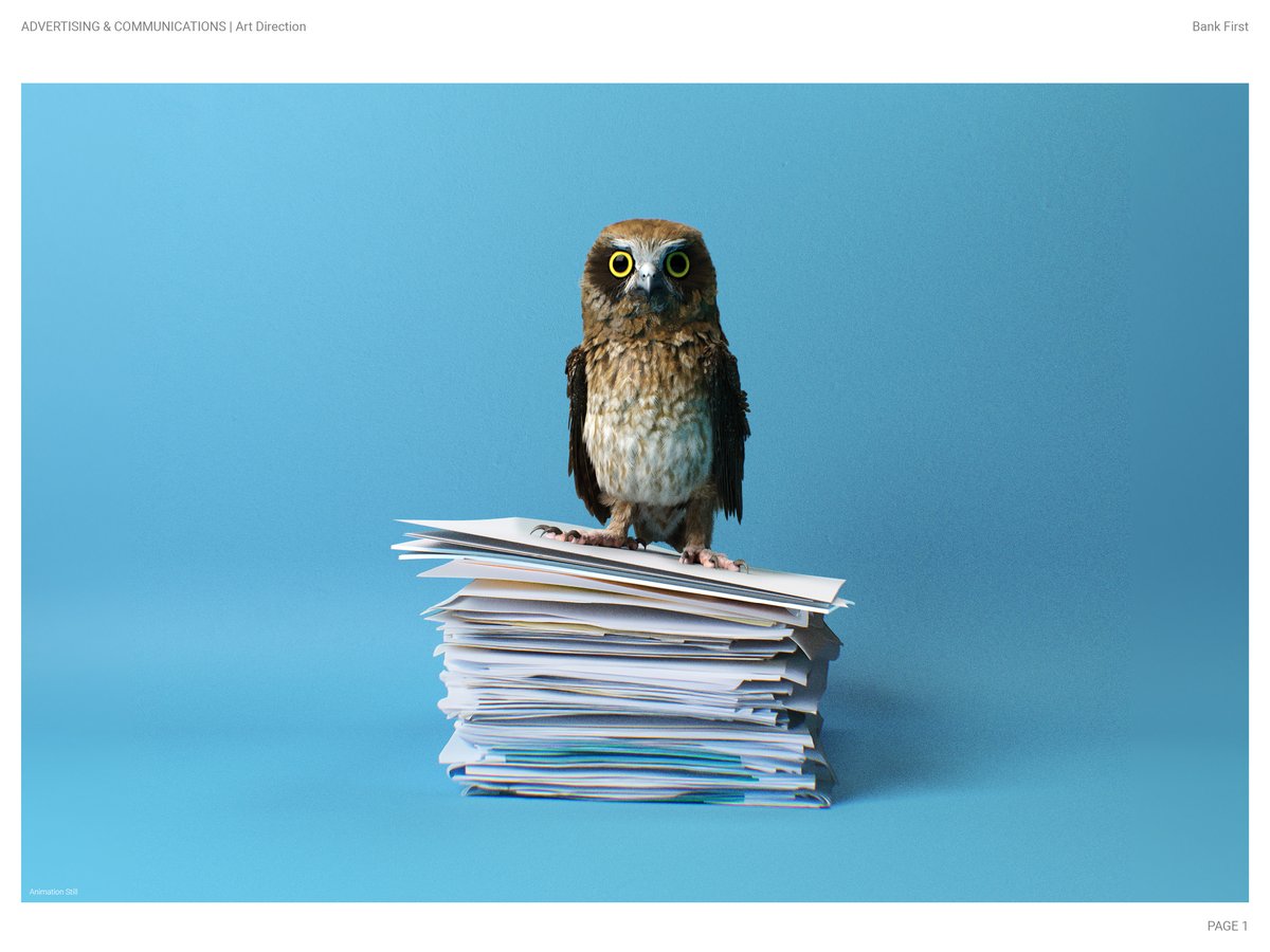 2012 Diemen Awards Entry_Bank First_Art Direction_1.jpg