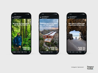 A. Tas Walking Co. Instagram Sponsored.png