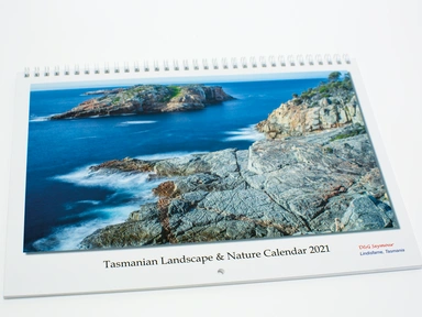 David Seymour Calendar 2021
