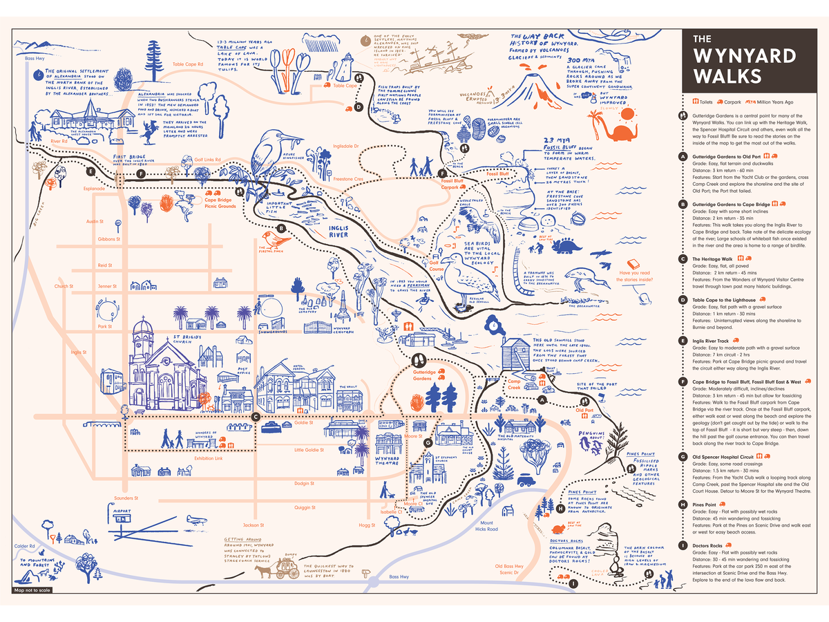 Waratah Wynyard Council Illustrated Map